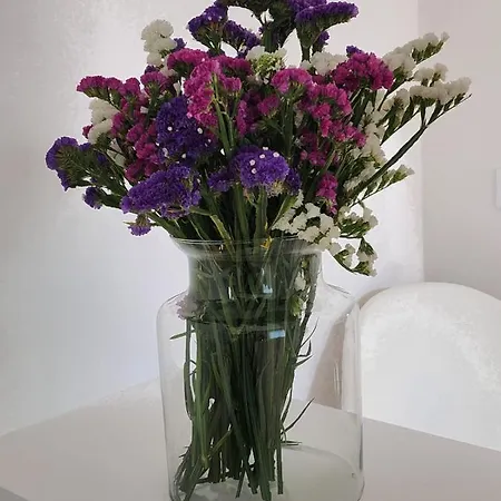 Janela D'ouro Peso da Régua