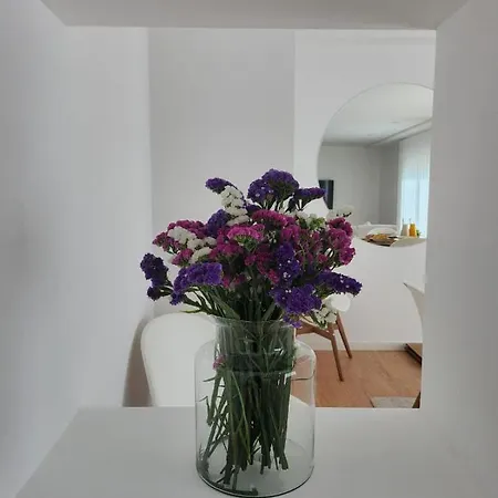 Appartement Janela D'ouro