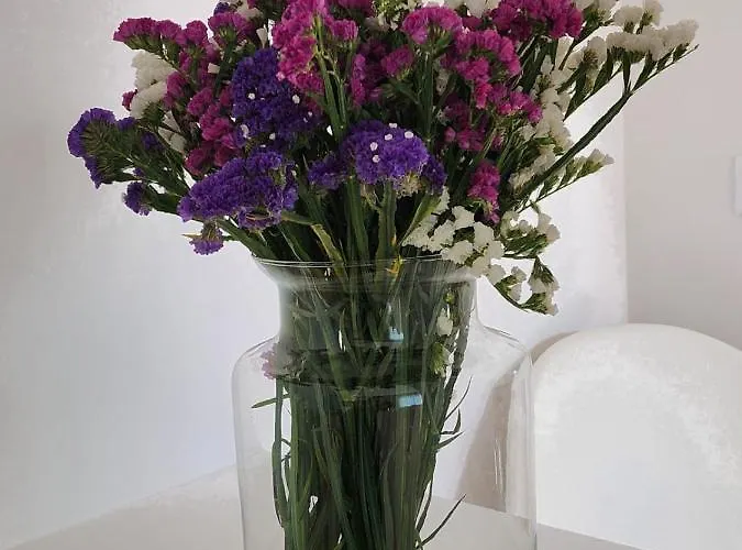 Janela D'ouro Peso da Regua