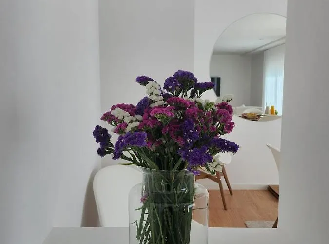 Apartment Janela D'ouro